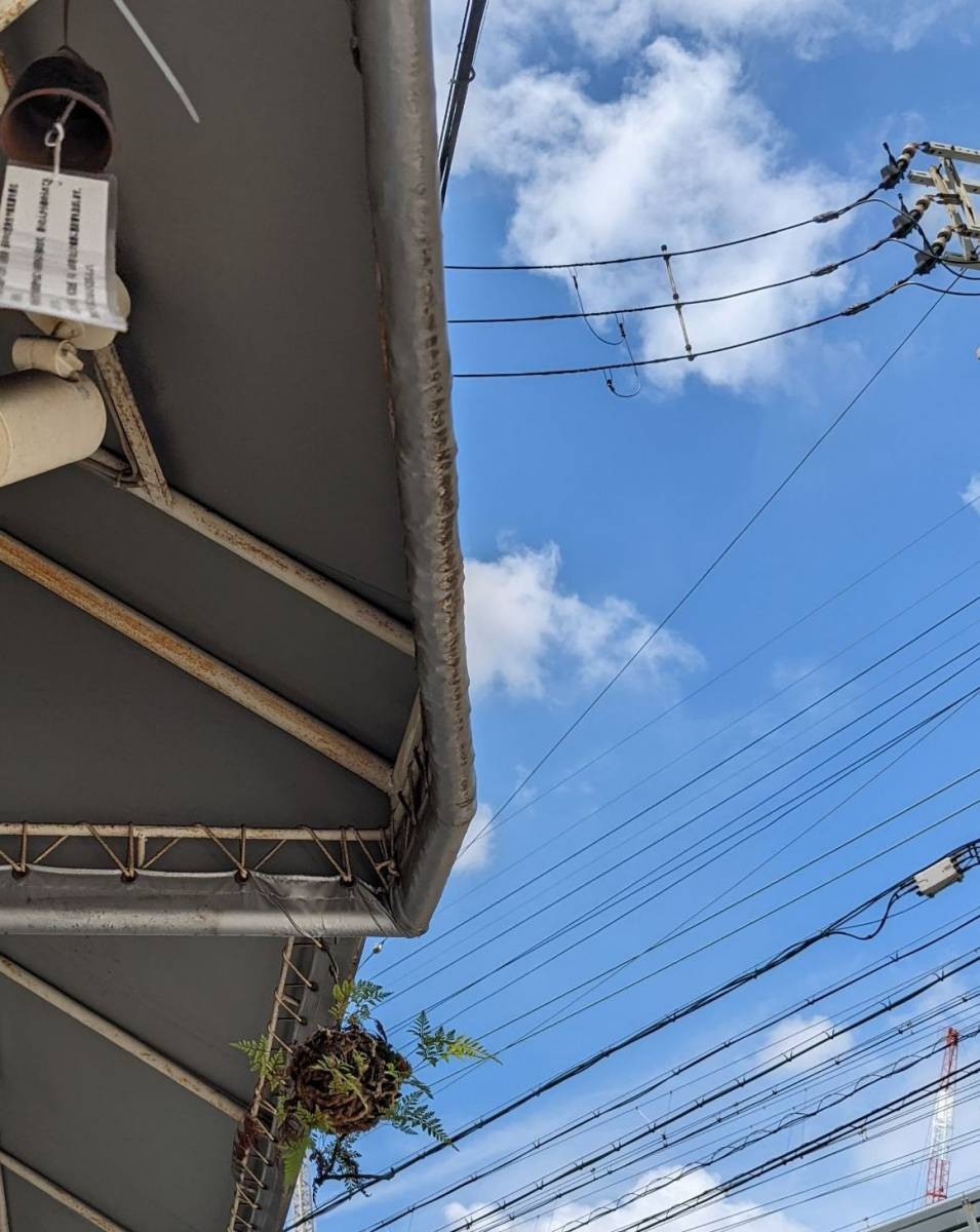 青空に風鈴の音♪♪♪吊るされたシダ・・・角のタバコ屋さん…昼食を終えた方々の憩いの景色です。 窓ドア京橋駅前店のブログ メイン写真