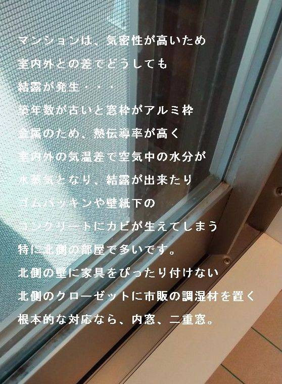 大阪市　京橋店　結露によるカビ　どうすれば・・・ 窓ドア京橋駅前店のブログ メイン写真