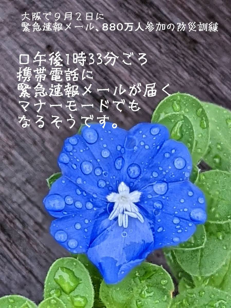 大阪　緊急警報メール 窓ドア京橋駅前店のブログ メイン写真